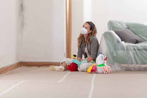 Reliable Mold Testing contractor in Lowell, MI by WQB Mold Removal