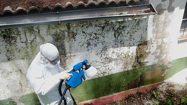Top rated local Mold Testing specialists in Lowell, MI